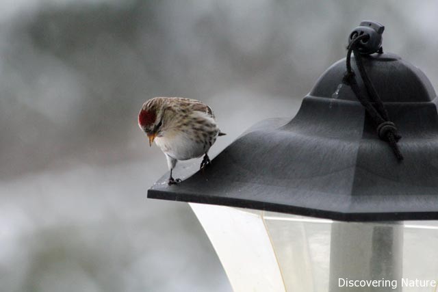 Any room down there?