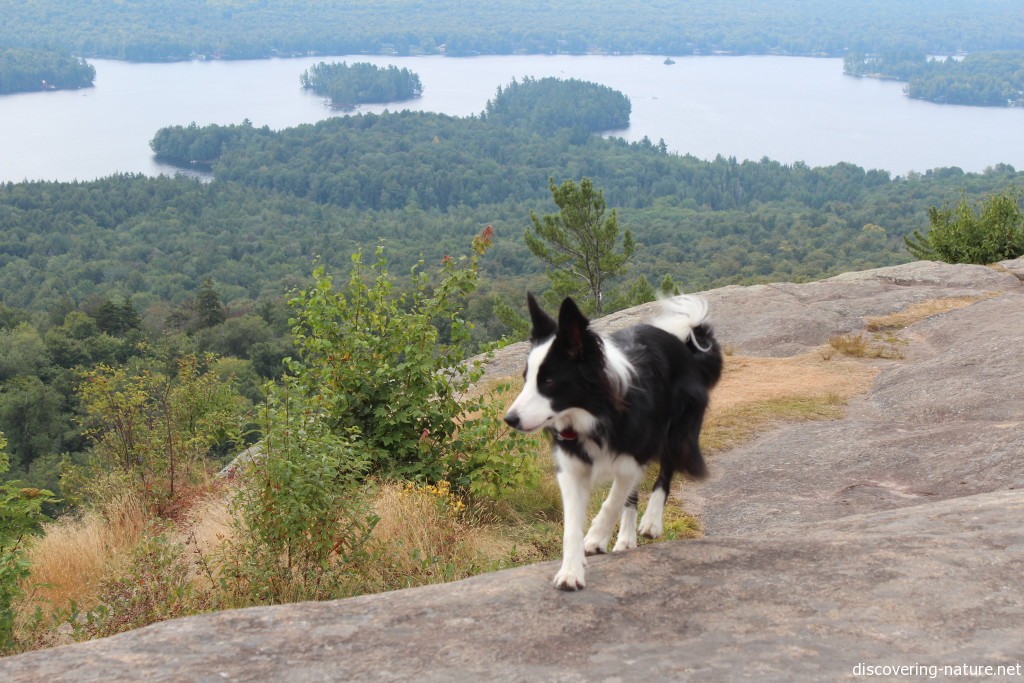 Our most sure-footed hiker